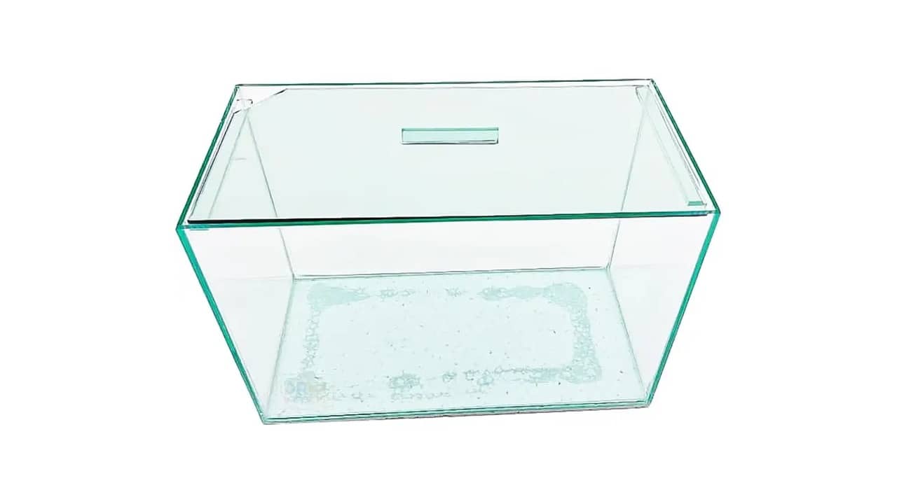 Melhor Aquário: 10 Modelos Compactos para Iniciantes