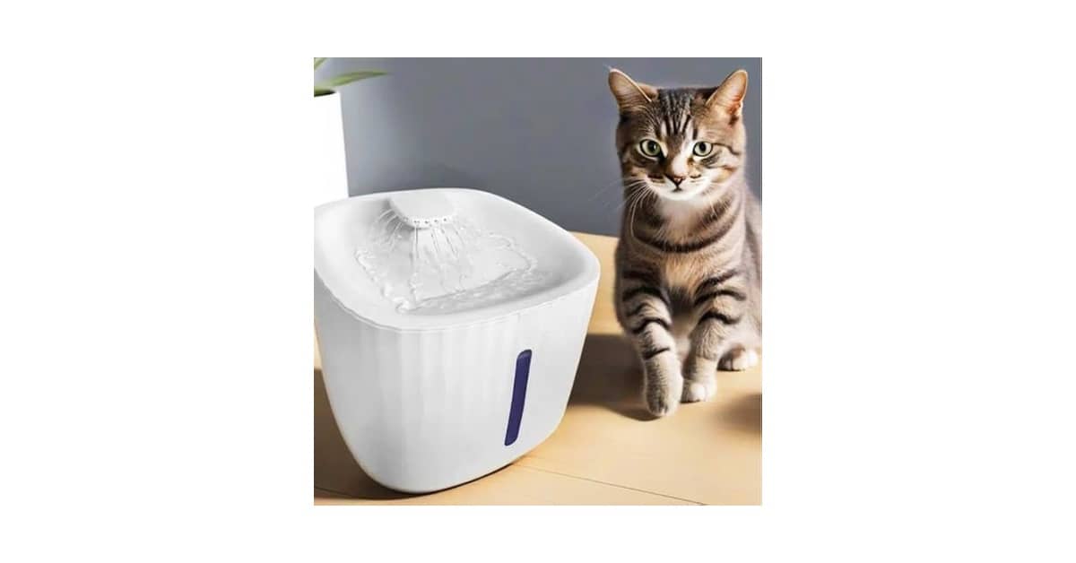 Melhor bebedouro de água para gatos: Qual Escolher?