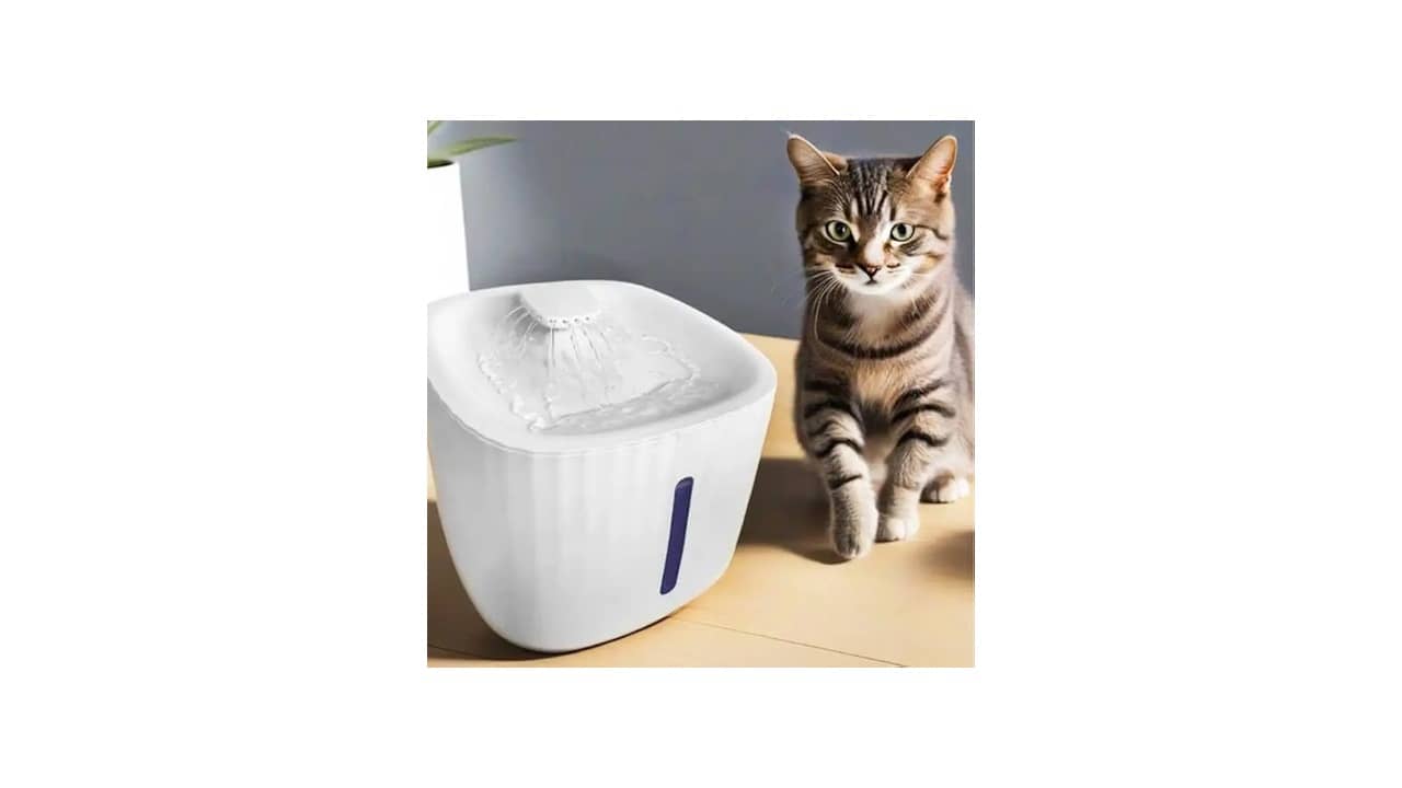 Melhor Bebedouro para Gato: 10 Modelos com Filtro