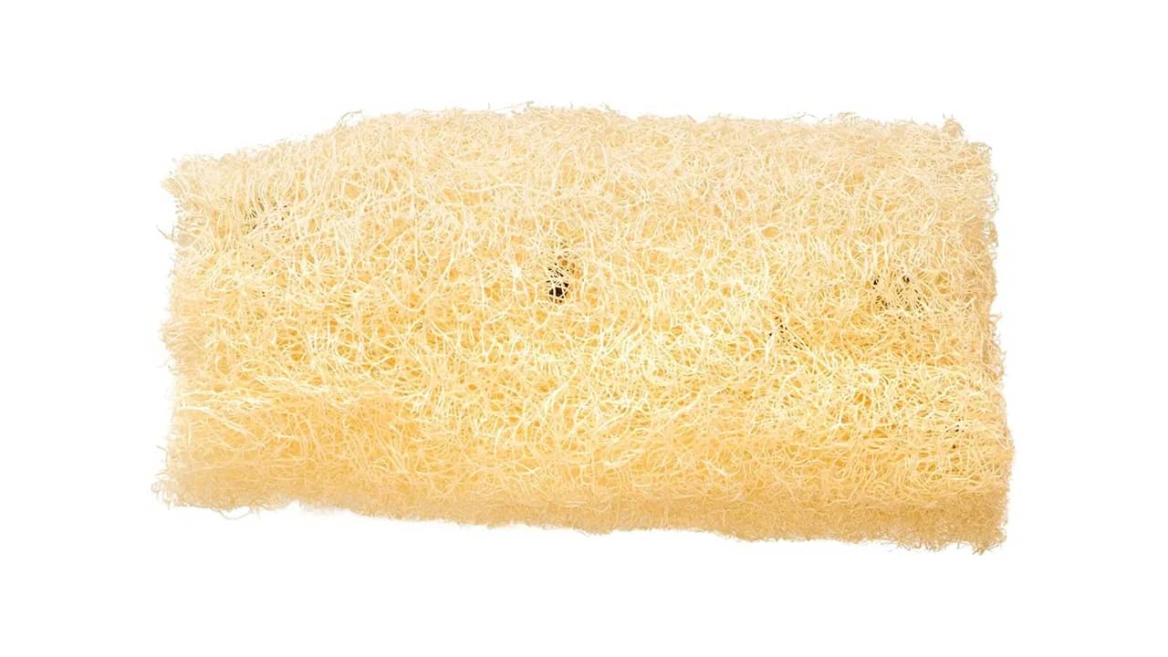 Melhor Bucha Vegetal: 10 Modelos para Esfoliação Natural