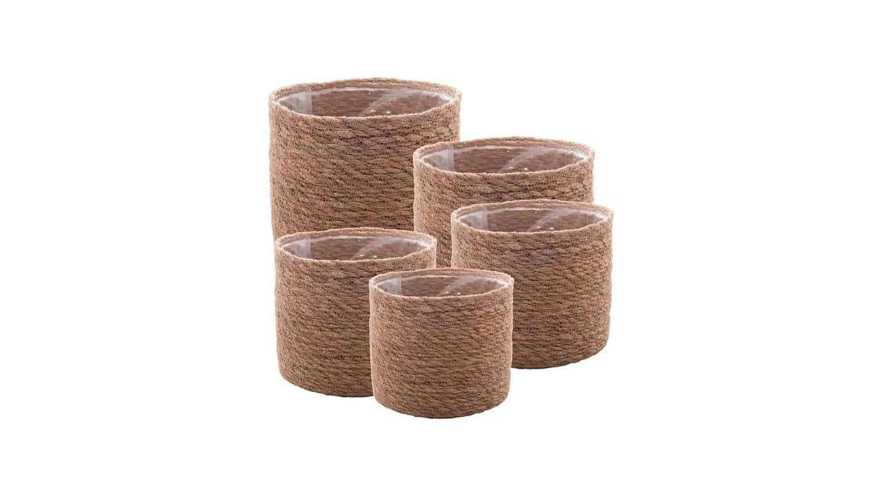 Melhor Cachepô: 10 Modelos de Alta Estética