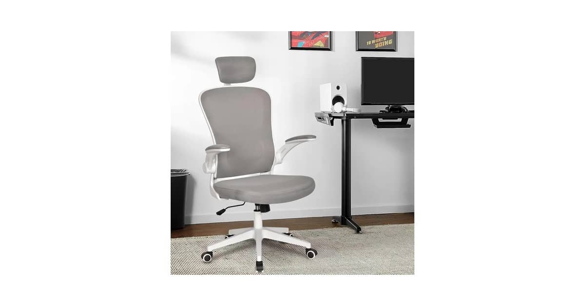 Melhor Cadeira Ergonômica Para Coluna: Qual Suporte?