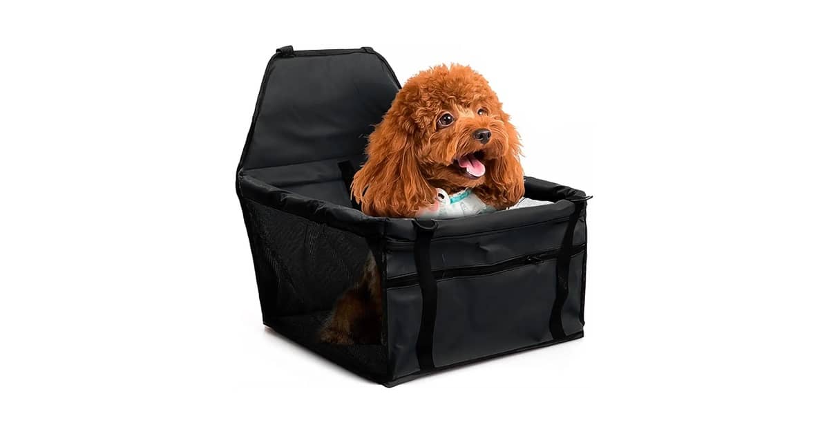 Melhor Cadeirinha para Cachorro: 10 Opções Seguras