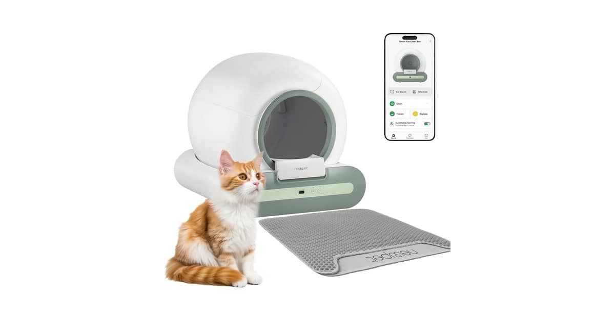 Melhor Caixa de Areia Autolimpante: App ou Manual?