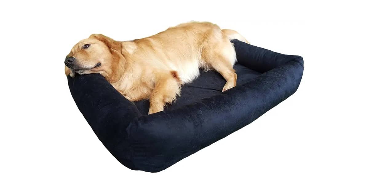 Melhor Cama para Cachorro Grande: 10 Modelos Top
