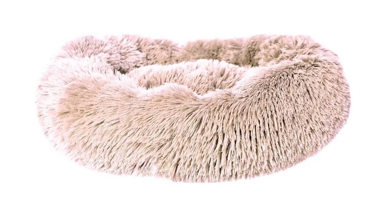 Melhor Cama para Gato: 10 Modelos para Conforto