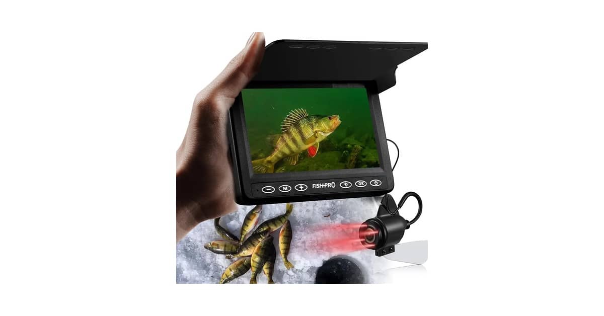 Melhor Câmera Profissional 2026 para Iniciantes