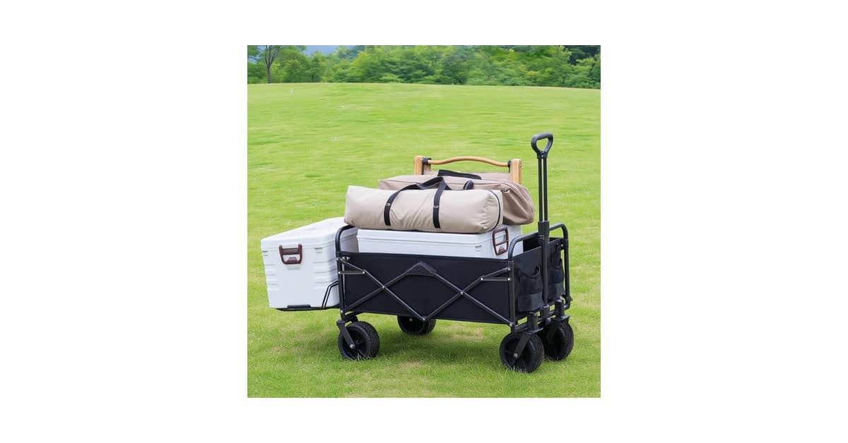 Melhor carro para pcd custo benefício: 6 Auxiliares de Transporte