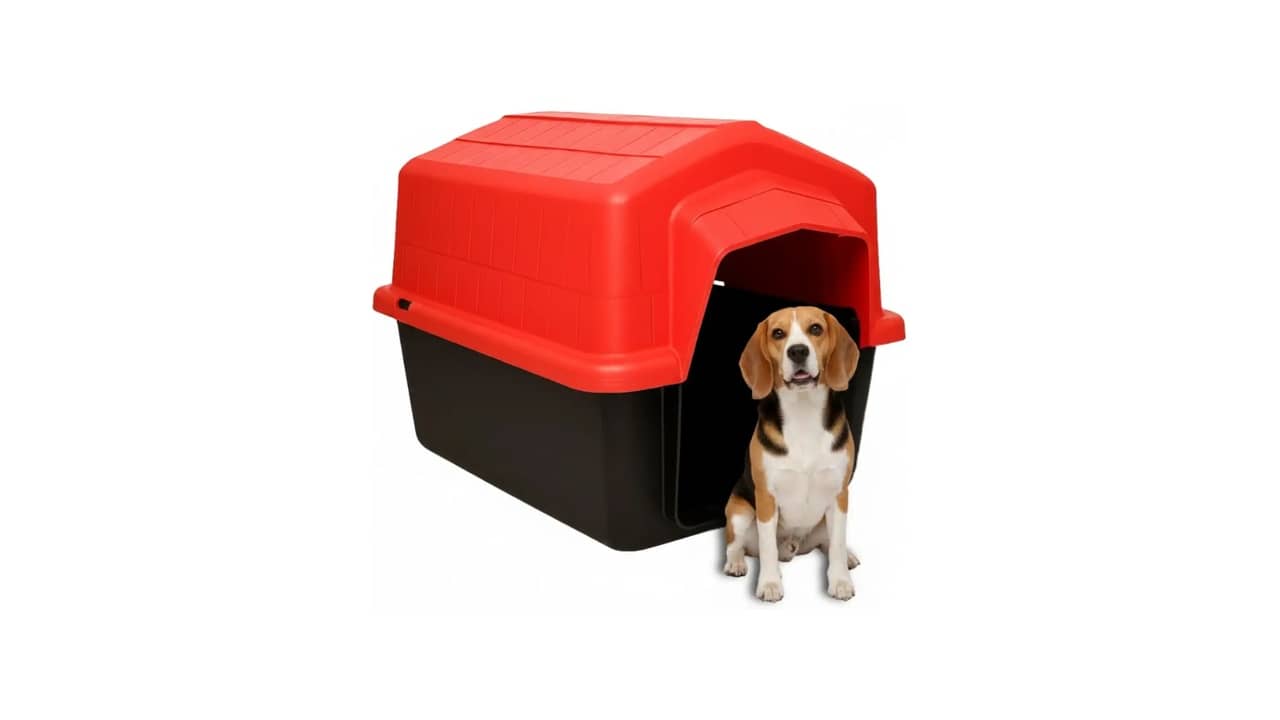 Melhor Casa para Cachorro: 10 Modelos de Alta Resistência