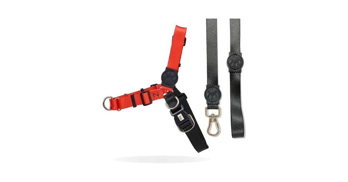 Melhor Coleira Anti Puxão: 10 Opções Seguras