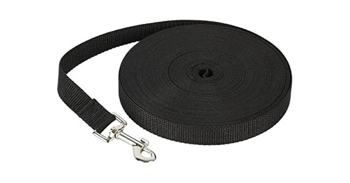 Melhor Coleira Para Cachorro de Pelo Longo: Sem Nós!