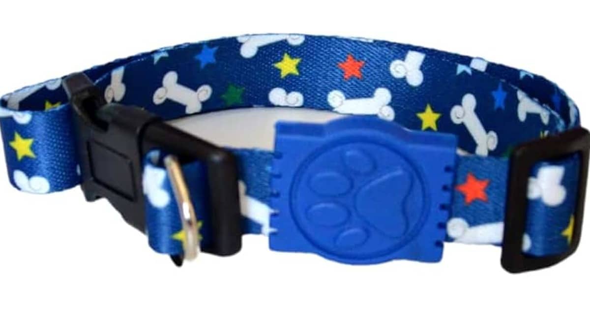 Melhor Coleira para Cachorro Filhote: Qual a Ideal?