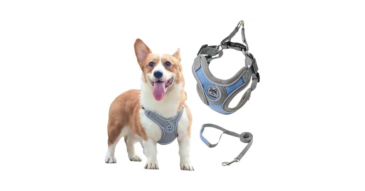 Melhor Coleira Para Cachorro Pequeno: Guia de Modelos