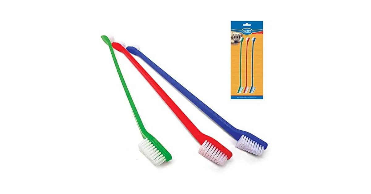 Melhor Escova de Dente Para Cachorro: Qual o Ideal?