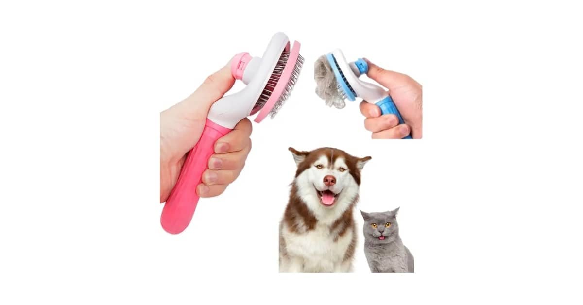 Melhor Escova Para Cachorro Pelo Longo: Fim Aos Nós!