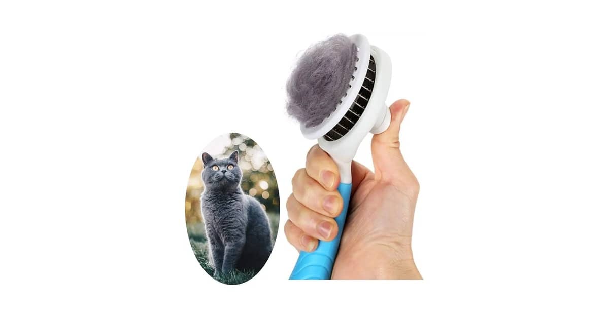 Melhor Escova Para Gatos Pelo Curto Para Menos Pelos