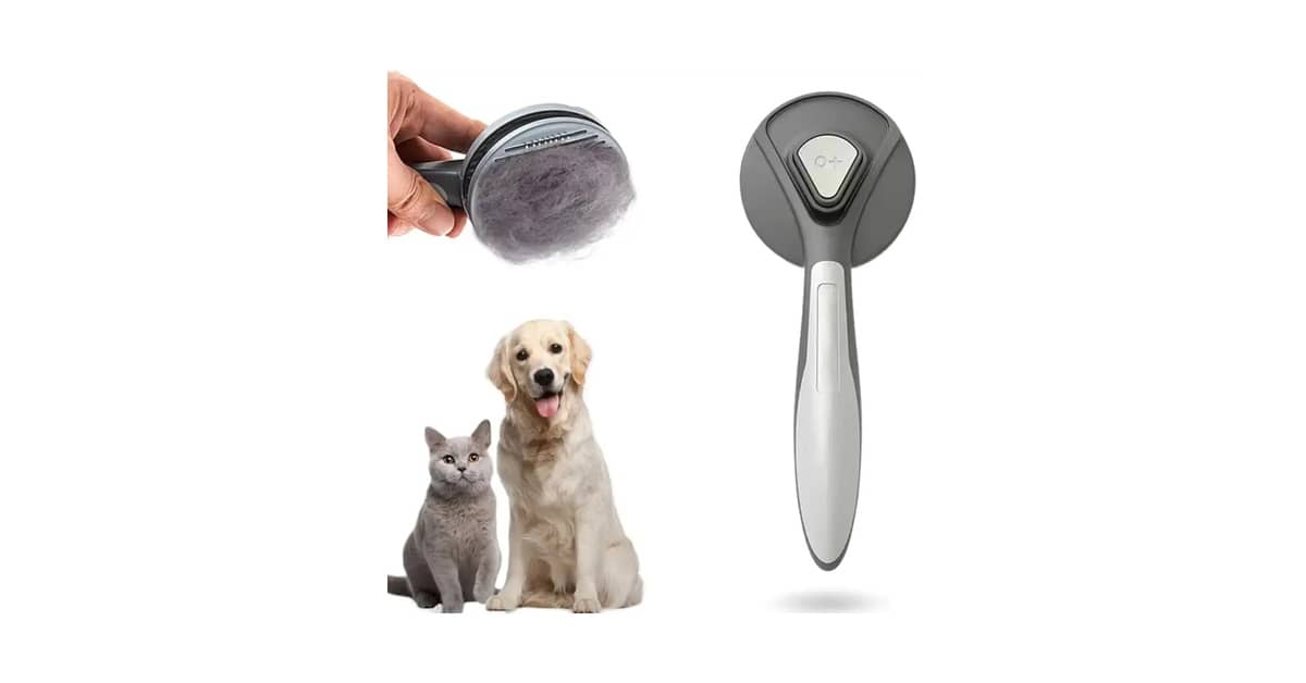 Melhor Escova Para Gatos Pelo Longo: Guia Sem Nós