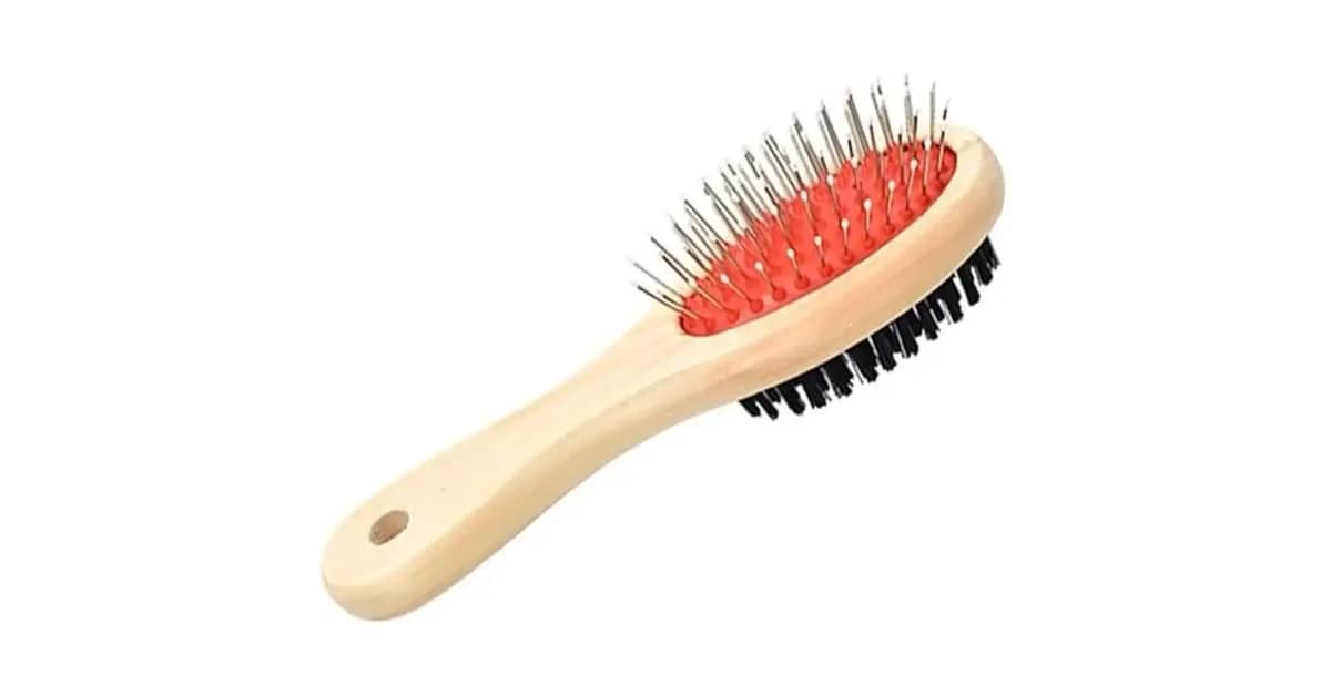 Melhor Escova para Shih Tzu: 10 Opções Anti-Nós