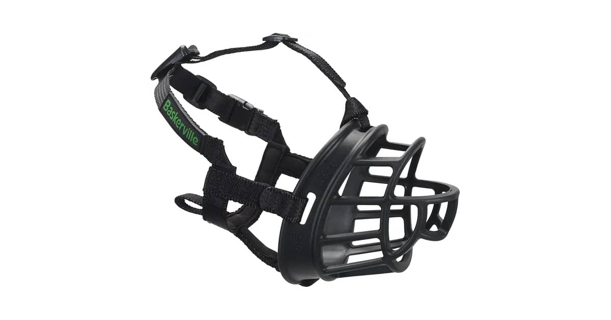 Melhor Focinheira Para Pitbull: 6 Opções Seguras