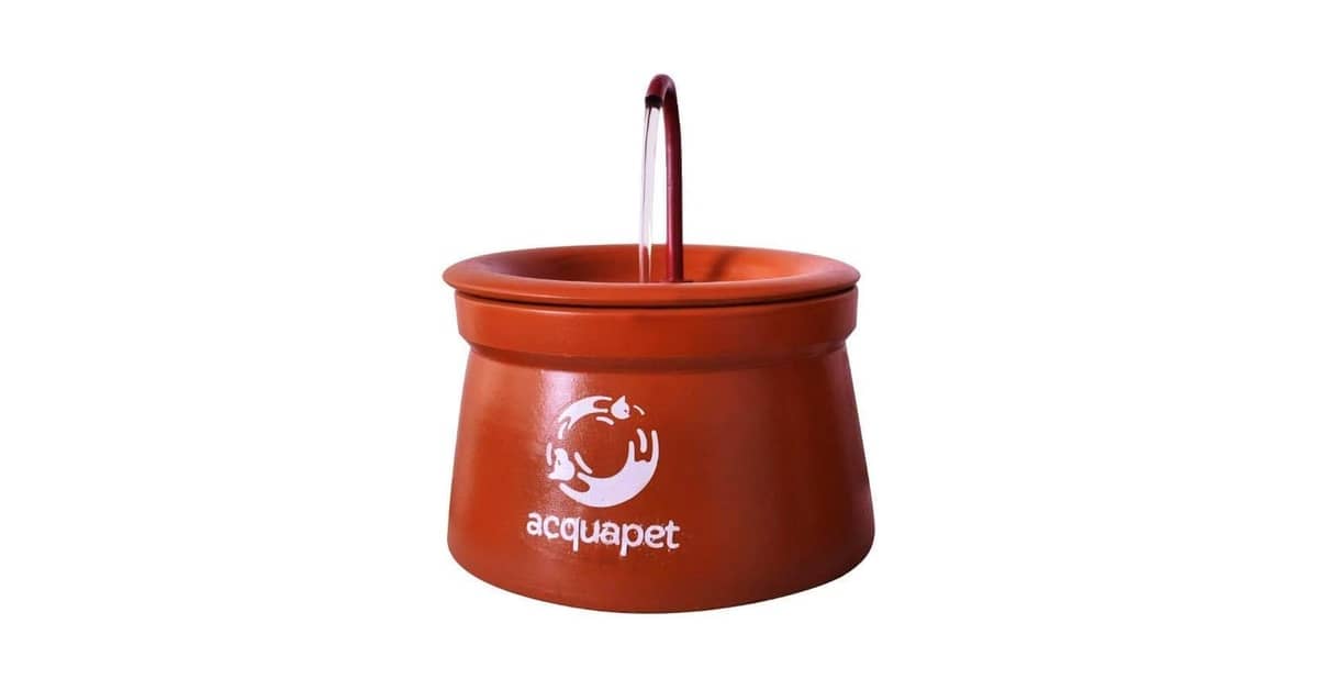 Melhor Fonte de Água Para Gatos Cerâmica Para Higiene