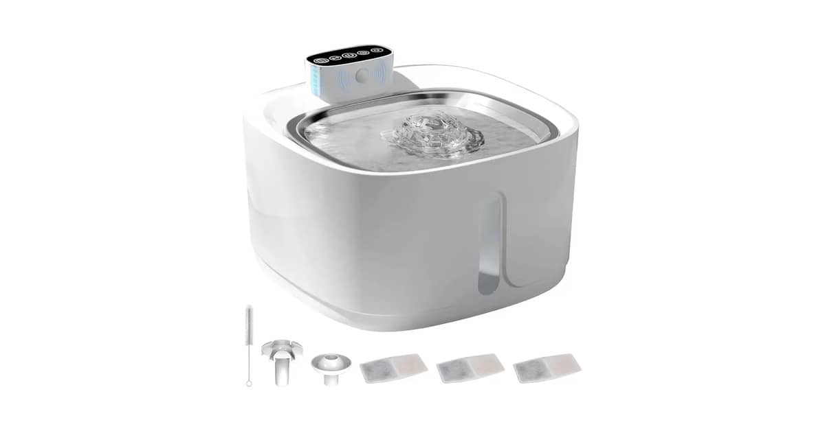 Melhor Fonte de Água Para Gatos Mercado Livre: Guia