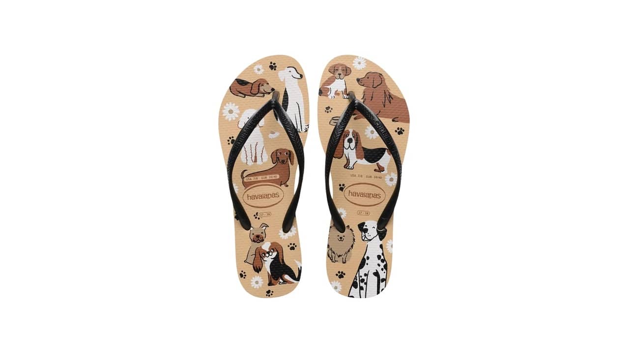 Melhor Havaiana Feminina: 10 Modelos de Estilo e Conforto