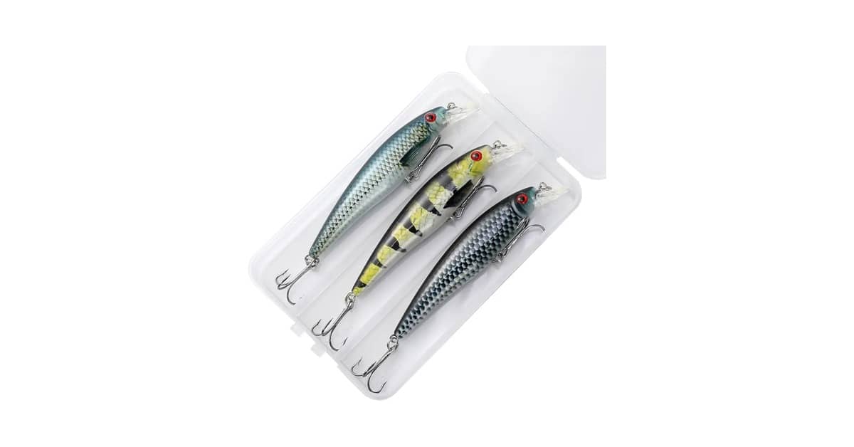 Melhor Isca Para Robalo no Rio: Guia de Ação e Cor