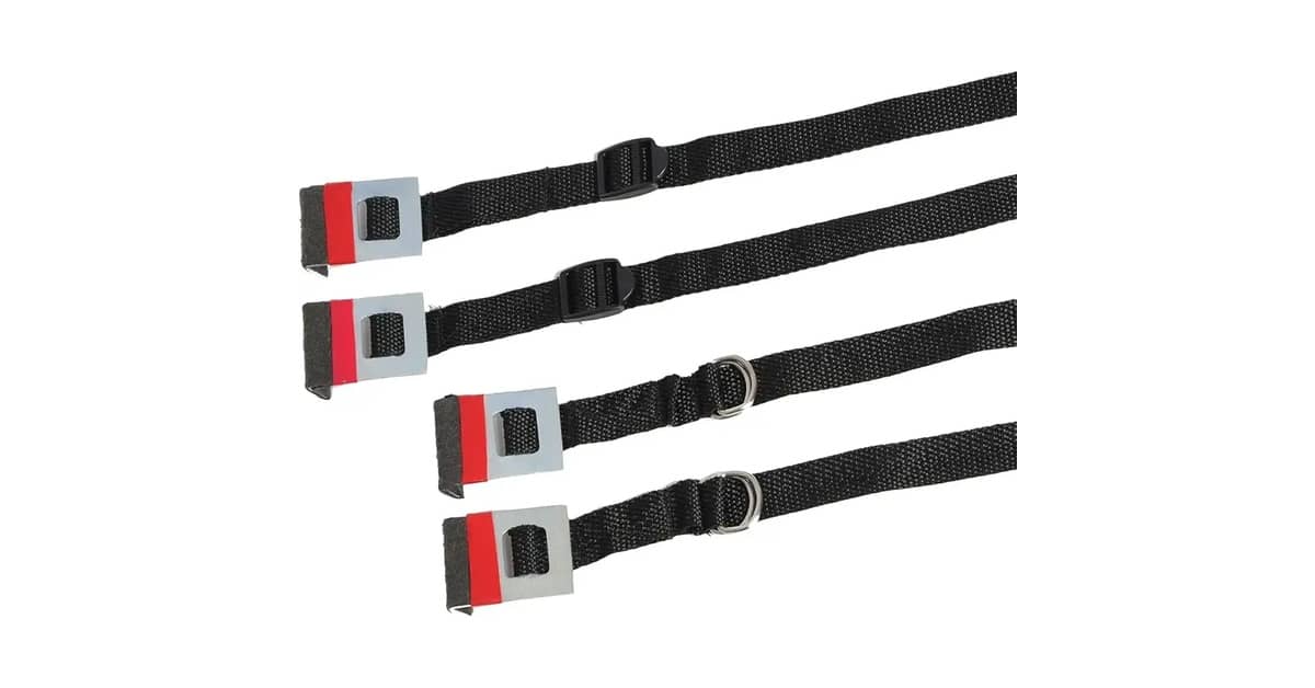 Melhor Marca de Transbike: Teto, Engate ou Mala?