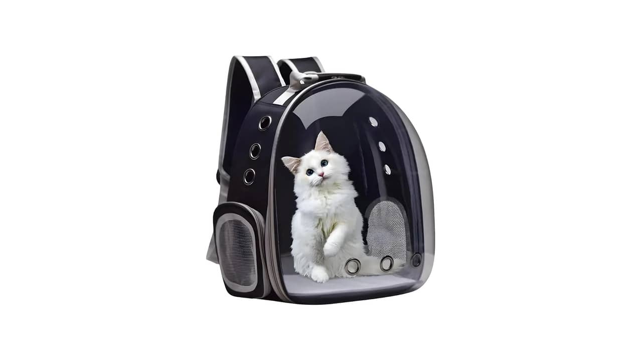 Melhor Mochila Transparente para Gato: 10 Modelos com Visão Panorâmica