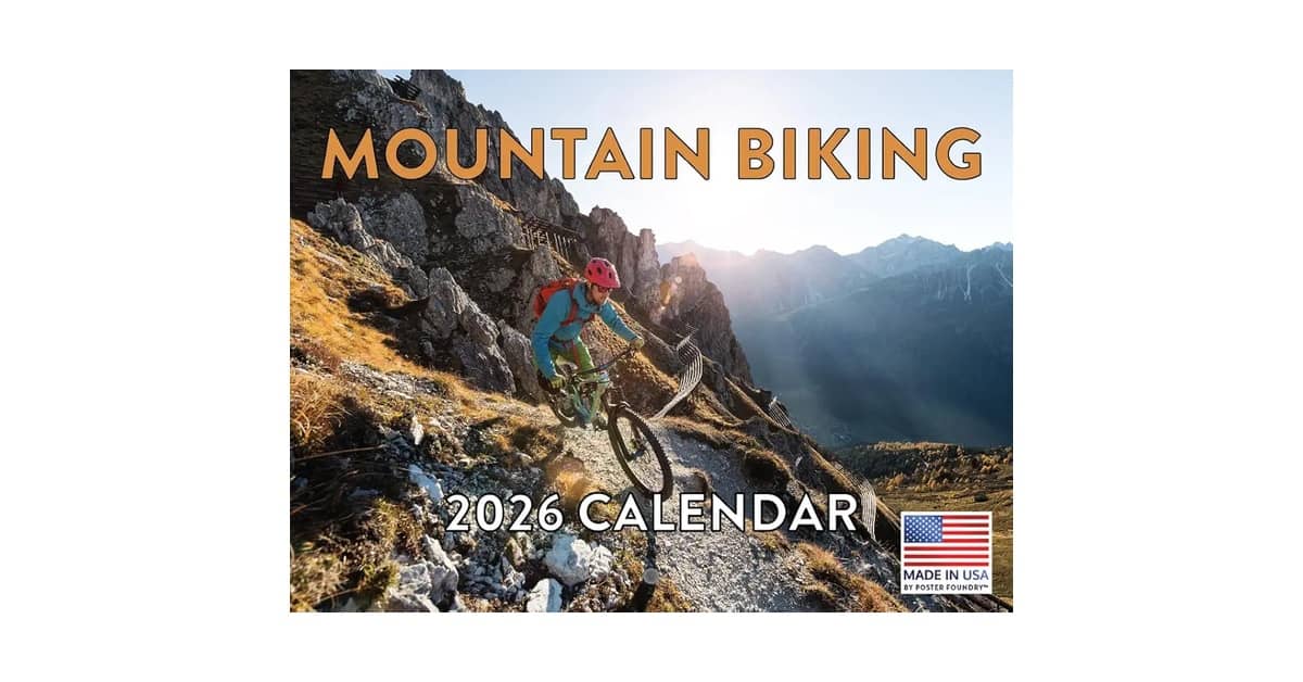 Melhor mountain bike 2026: Top 4 Custo-Benefício