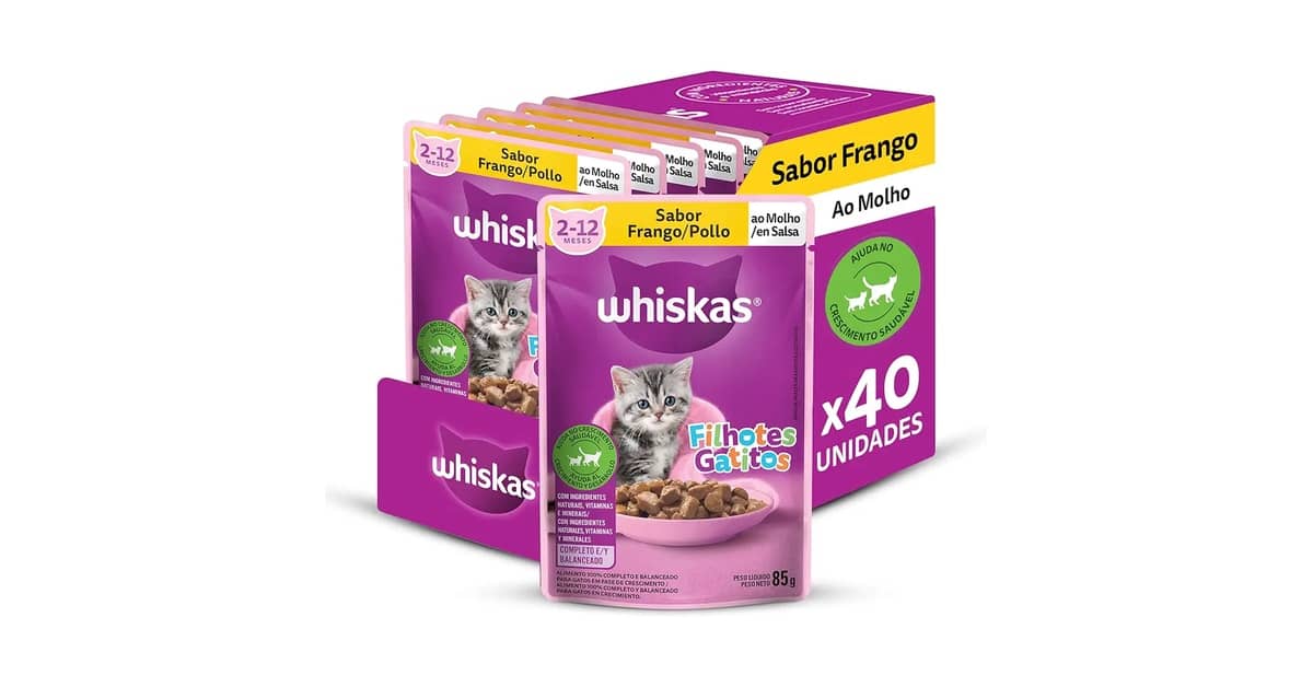 Melhor ração úmida para gatos filhotes: 10 Opções Nutritivas