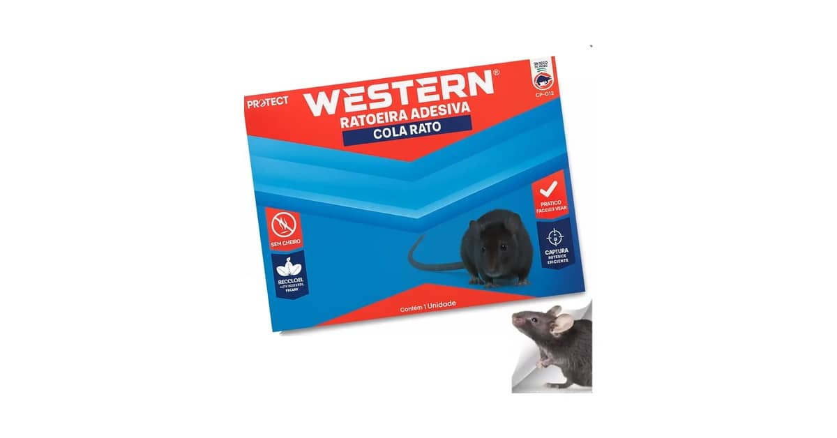 Melhor Ratoeira para Ratos Grandes: Gaiola vs Mola