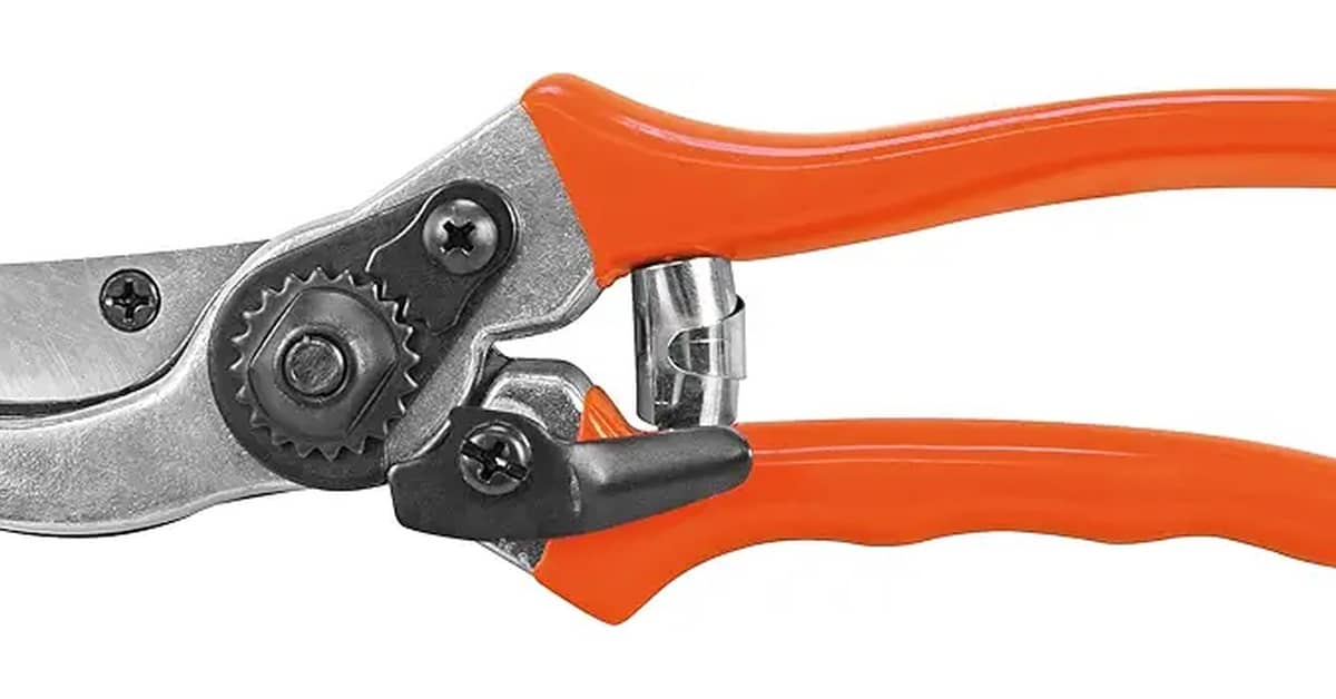 Melhor tesoura de poda profissional: Corte Preciso