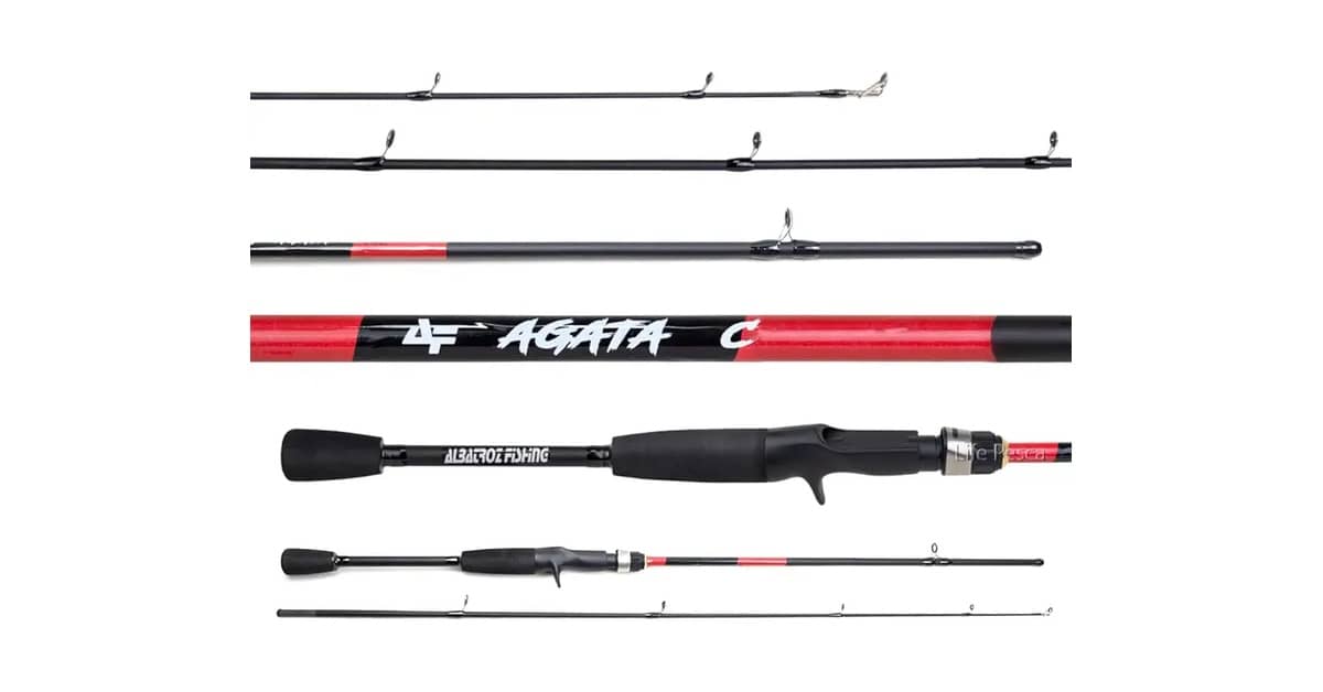 Melhor Vara de Pesca Carretilha: 10 Opções Top