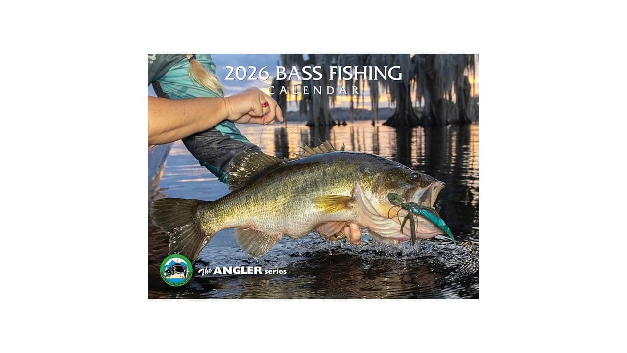 Melhores baixos 2026: Ativo ou Passivo? Guia