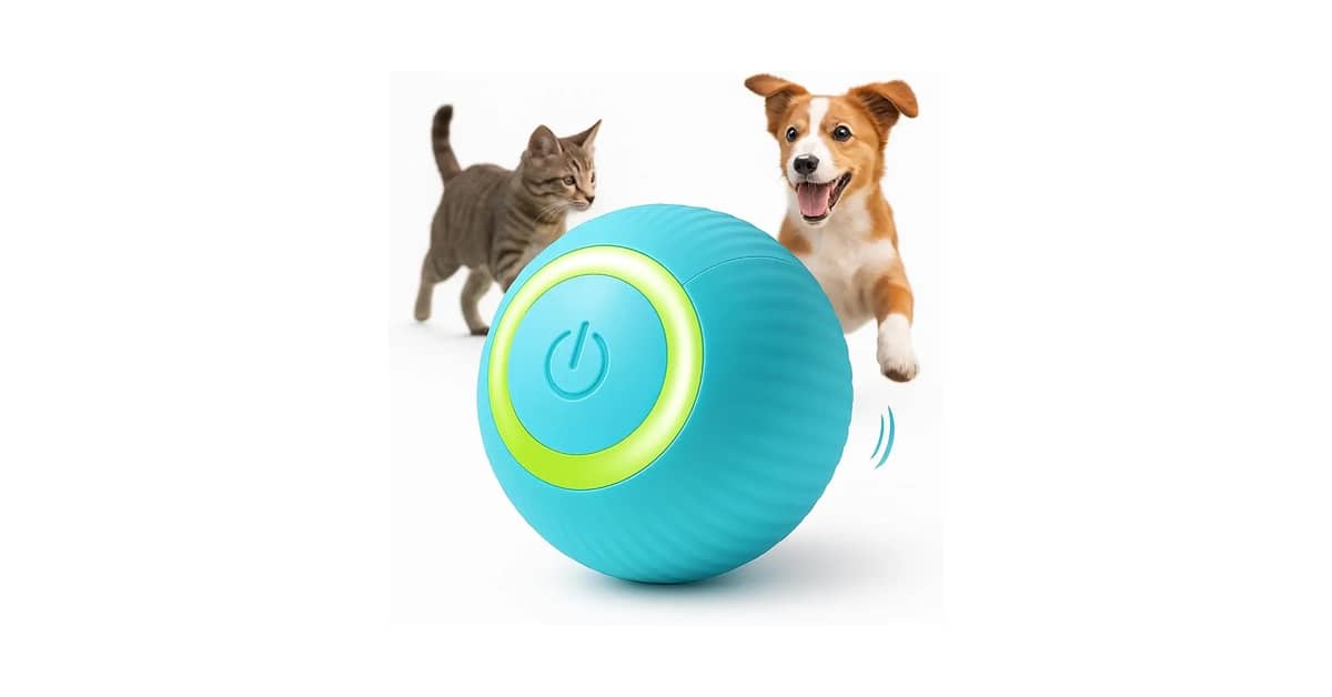 Melhores brinquedos para cachorros que ficam sozinhos: 10 Opções Contra Ansiedade