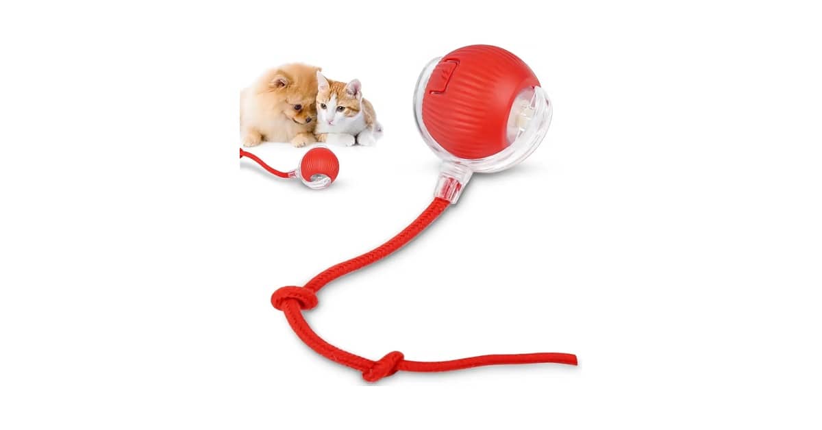 Melhores brinquedos para gatos: 10 Itens Anti-Tédio