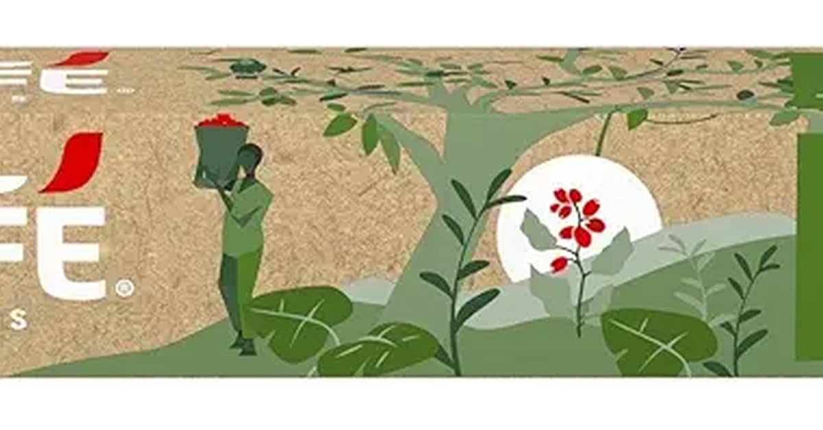 Melhores cafés do brasil 2026: Top 10 Especiais