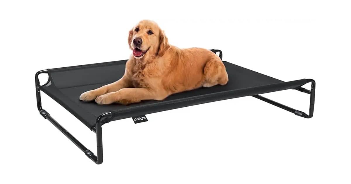 Melhores Camas Para Cachorros Grandes: Qual Comprar?