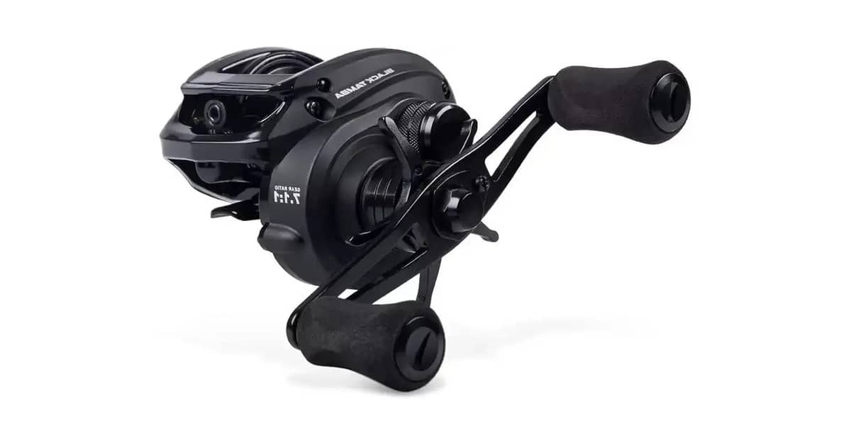 Melhores Carretilhas Para Tamba: Qual o Drag Ideal?