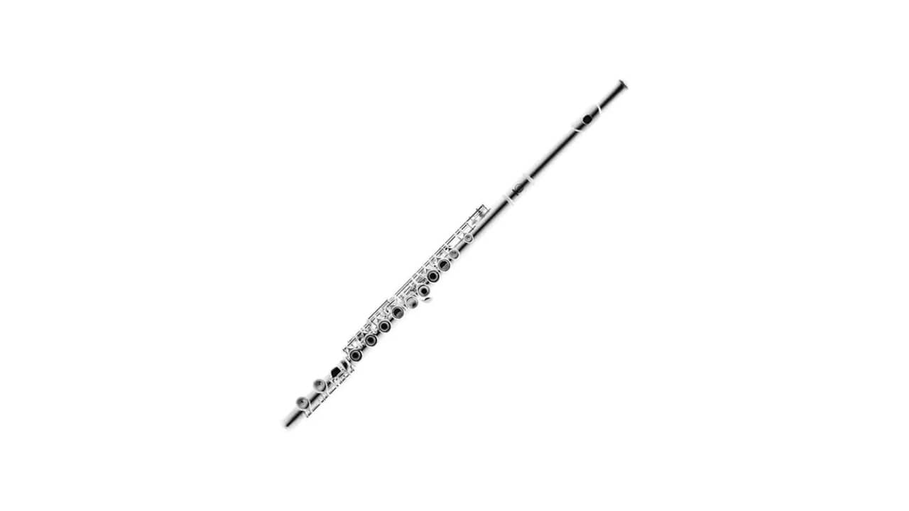 Melhores Flautas Transversais Profissionais: Top 8