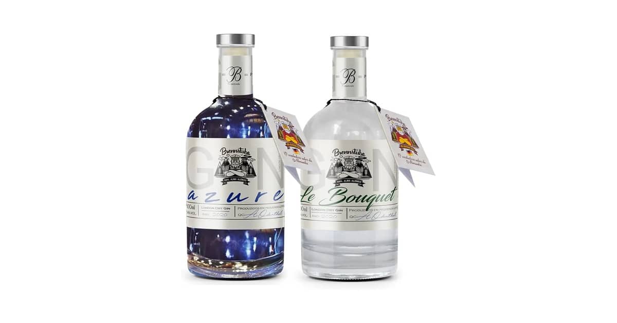 Melhores Gins: Top 10 Opções para Drinks Perfeitos