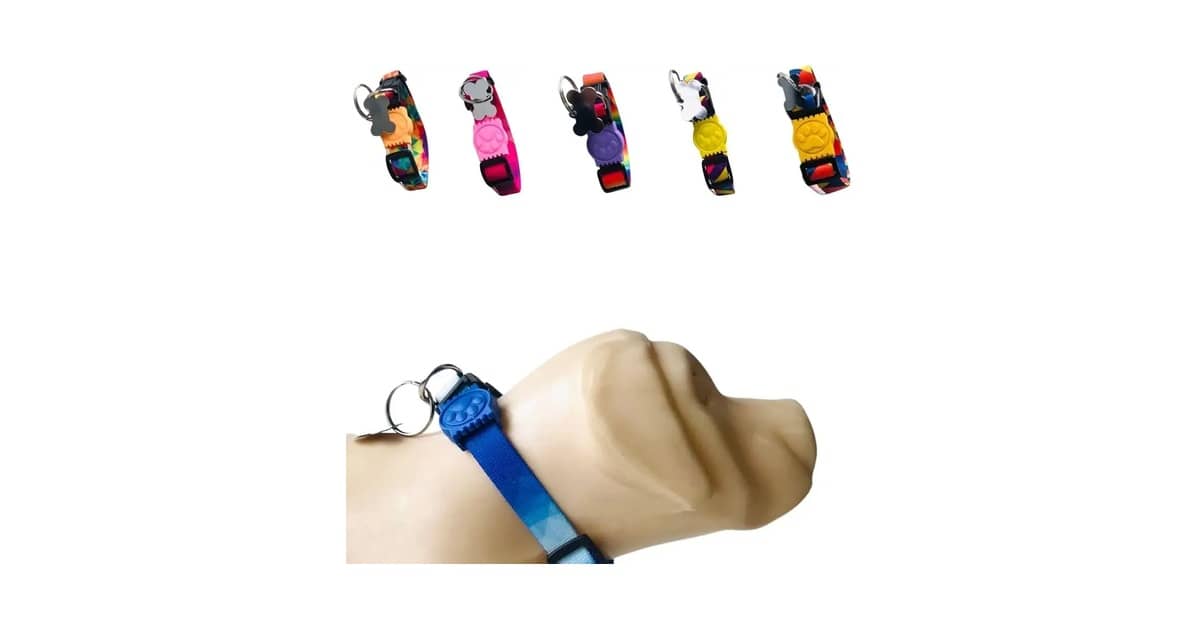 Melhores Marcas de Coleiras Para Cachorro: Um Guia