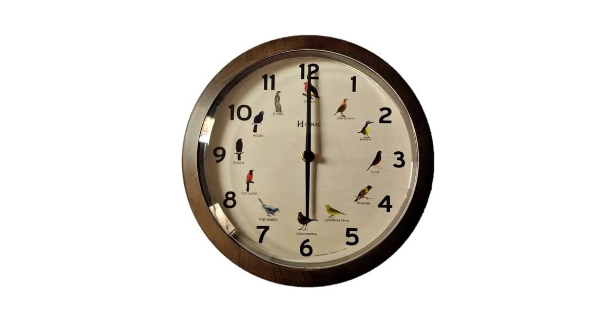 Melhores Marcas de Relógios Brasileiros: Qual Escolher?