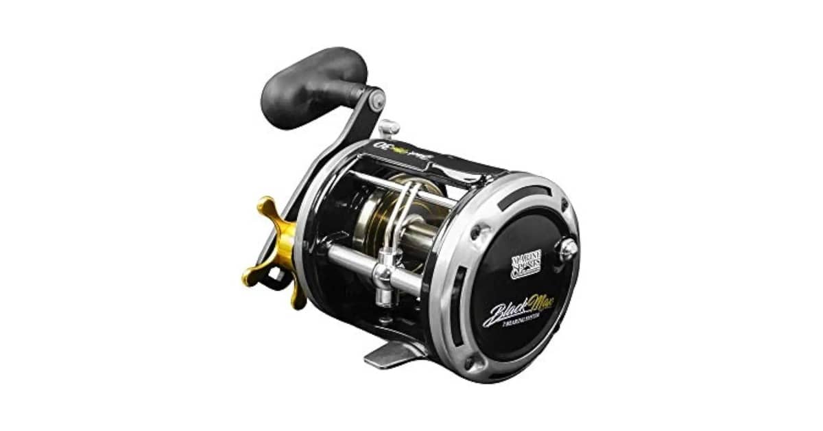 Qual a Melhor Carretilha de Pesca do Mundo: Guia Top 10