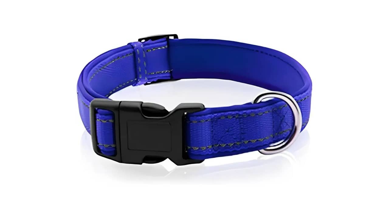 Qual a Melhor Coleira Cobasi: 10 Modelos Eficazes