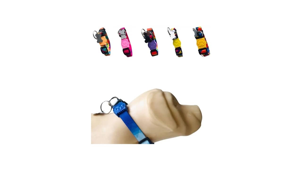 Qual a Melhor Coleira de Identificação: 10 Modelos