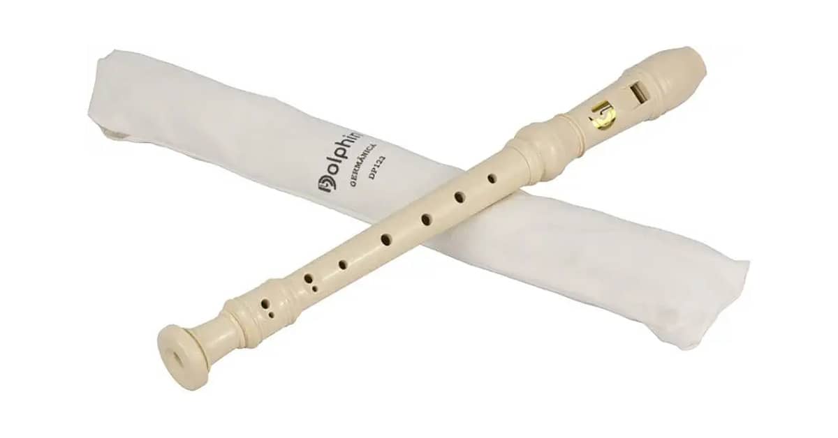 Qual a Melhor Flauta Doce de Madeira? Opções e Alternativas Premium