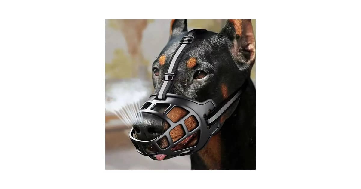 Qual a Melhor Focinheira para Rottweiler: 8 Opções Seguras