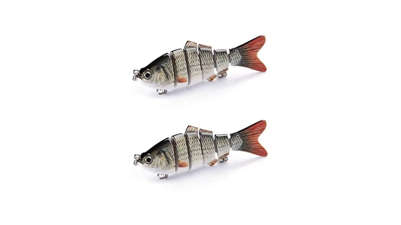 Qual a Melhor Isca para Pegar Pintado: 5 Opções